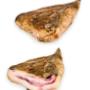 Guanciale di suino nero