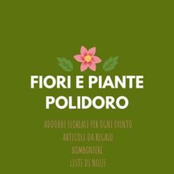 Fiori e piante articoli da regalo Polidoro
