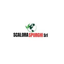 SCALORA SPURGHI SRL (Trasporto Acqua Potabile,Spurgo Pozzi Neri e Fosse Imhoff