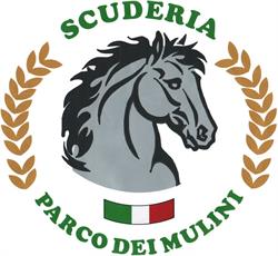 Scuderia Parco dei Mulini S.S.D.