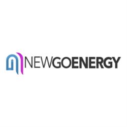 Consulente NewGoEnergy