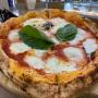 Gallery Professionale