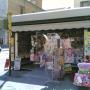 Gallery Professionale