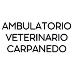 Ambulatorio Veterinario Carpanedo