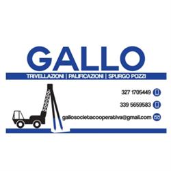 Trivellazioni Gallo