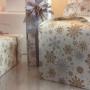 Gallery Professionale