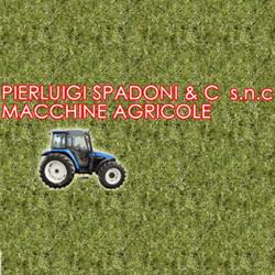 Spadoni Pierluigi e  C.