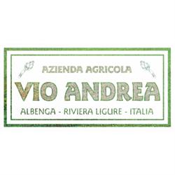 Carciofo di Albenga Vio Andrea