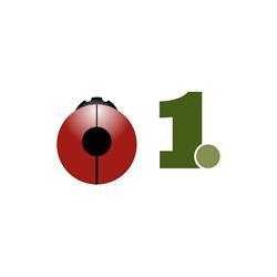 Onepoint Srl