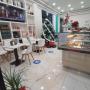 Gallery Professionale