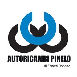 AUTORICAMBI PINELO