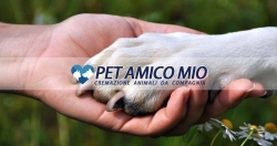 Pet Amico Mio - Cremazione Animali -Onoranze Funebri per animali - Toscana & la Spezia
