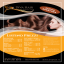 Flyer Diva Hair