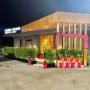 Gallery Professionale