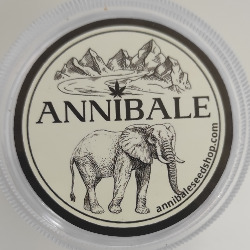 Annibale Seedshop