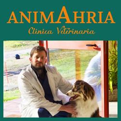 AnimAhria - clinica veterinaria