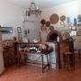 Gallery Professionale
