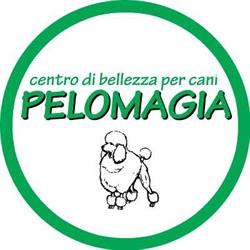 Pelomagia