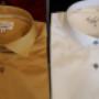 Gallery Professionale