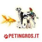 Petingros it