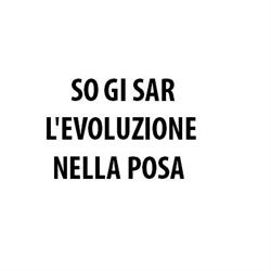 So Gi Sar L'Evoluzione nella Posa