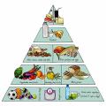 Piani alimentari per patologie