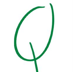 Quanta Club