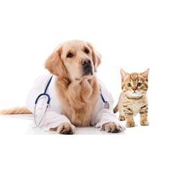 Ambulatorio Veterinario Associato Sant'Antonio