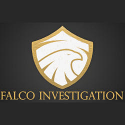 Falco Investigation