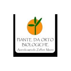 Zaffoni  Paolo Piante da Orto Biologiche