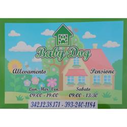 Allevamento Baby Dog