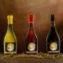 Gallery Professionale