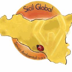 Sicil Global di Contrafatto Francesco