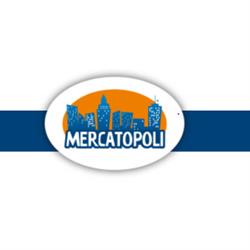 Mercatopoli Vicenza Est