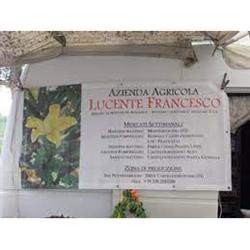 Azienda Agricola Lucente Francesco