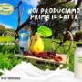 Gallery Professionale
