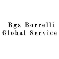Bgs Borrelli Global Service Srl