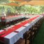 Gallery Professionale