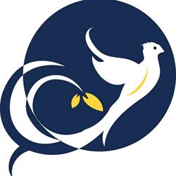 Antarctica Travel Company srl - Tour Operator
