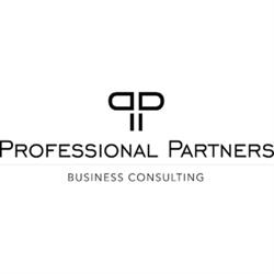 Professional Partners Stp