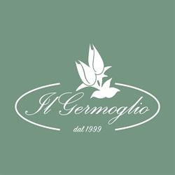 Il Germoglio Fiori Artificiali