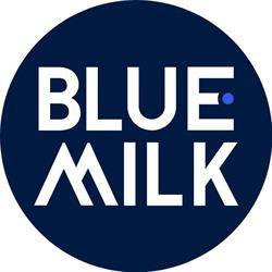 Blue Milk - web e digital agency