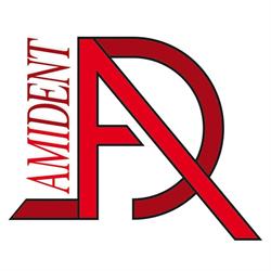 Amident Srl