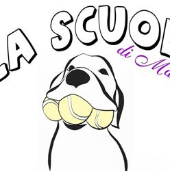 La scuola di Matilde