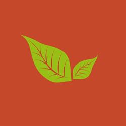 Basilico