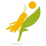 Insectfarm srl