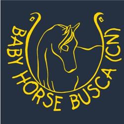 Centro Ippico Baby Horse