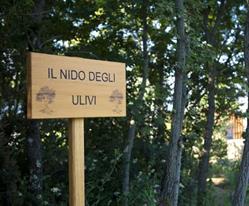 Nido degli Ulivi