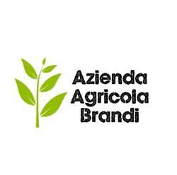 Azienda Agricola Brandi