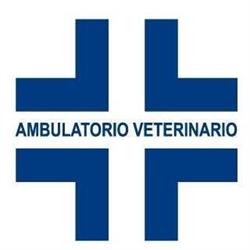 Ambulatorio Veterinario Roberto Bacciu